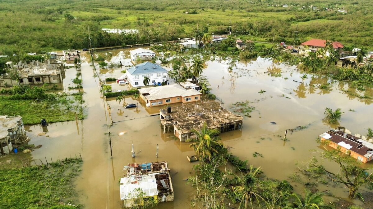 farmland devastation from Hurricane Melissa in Jamaica